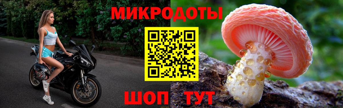Кингисепп  Псилоцибиновые грибы Psilocybe  Галлюциногенные грибы GOLDEN TEACHER  Вход с VPN 