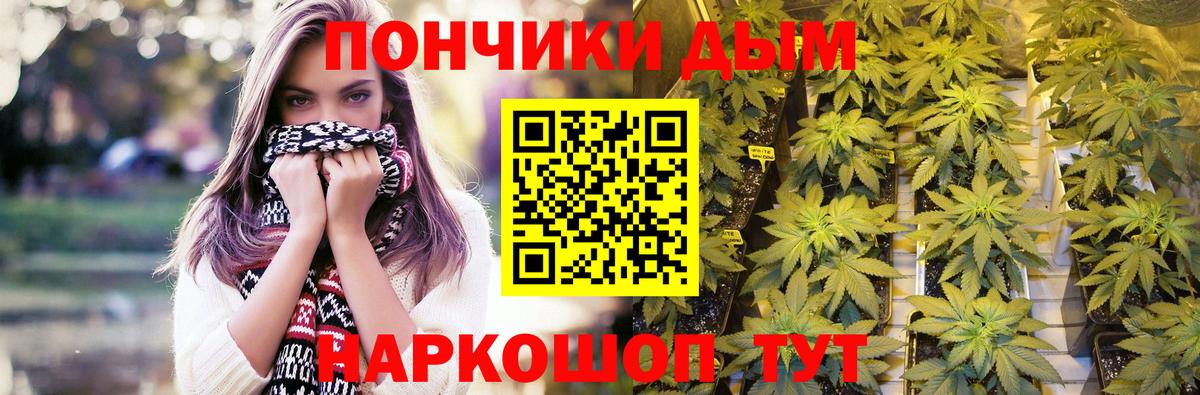 Канабис конопля  Вход с VPN  Кингисепп  Бошки марихуана марихуана  Конопля THC 21%  Марихуана тримм 
